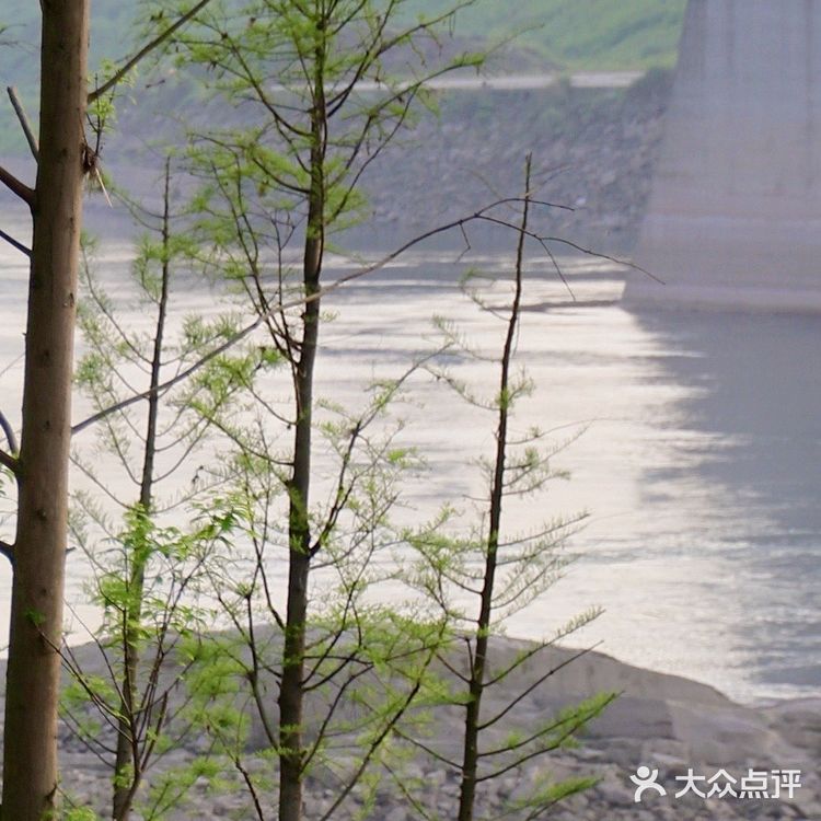 重庆踏青|小众打卡地-九曲河湿地公园