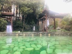 -杭州第一世界大酒店·云曼温泉