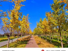 -汉长安城未央宫国家考古遗址公园