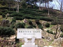 iphone_upload_pic-九溪烟树