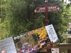 -青城山