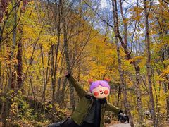 -叠溪松坪沟景区