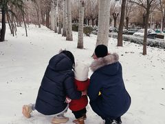 -济南国际园博园