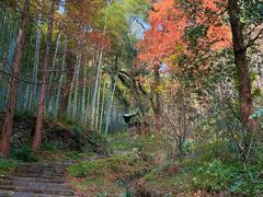 -东明山森林公园