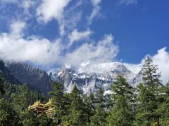 -稻城亚丁景区-冲古草甸