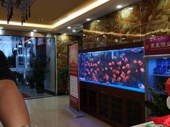 -尊足养生·影院足道·主题spa·采耳(浦江店)