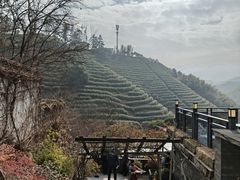 -心无尘茶餐馆(径山村店)