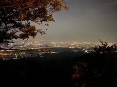 -紫金山山顶公园