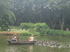 -广州长隆飞鸟乐园