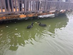 -无锡动物园·太湖欢乐园