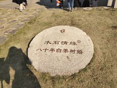 -千年银杏谷文化旅游区