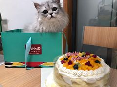 -卡漫莫尼蛋糕(私人定制店)