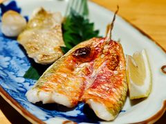 -镹·鱼料理  国产鱼使用店