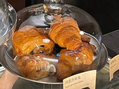 -Wagas沃歌斯(大学路店)