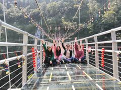 -九龙江国家森林公园