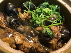 -食爺炭炉鸡煲·烧烤