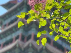 -永定河休闲森林公园