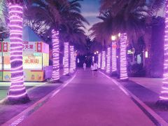 -三亚海昌梦幻海洋不夜城