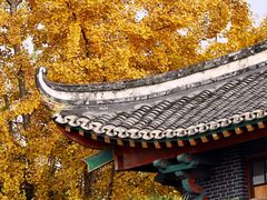 -四川大学(华西校区)