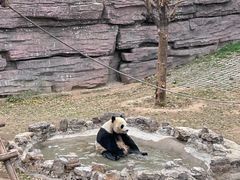 -石家庄市动物园