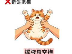 -瑞鹏宠物医院·骨外科·心肾科·肿瘤科(九亭店)
