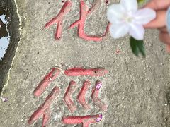 -庐山风景区花径公园