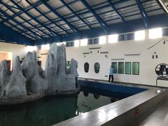 -北戴河圣蓝海洋公园