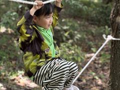 -宾果蒙特梭利托育儿童之家幼儿园(爱琴海店)