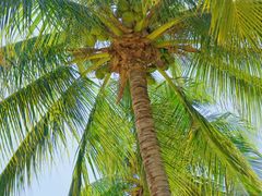 -香香海南菜餐厅