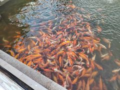 -长春市南湖公园