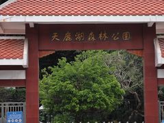 -天鹿湖森林公园