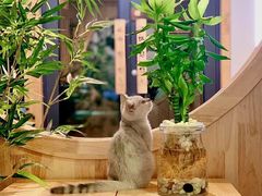 -满悠悠惜食(万豪国际公寓店)