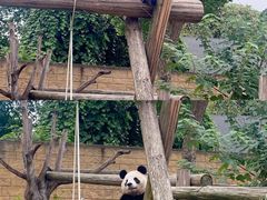 -杭州野生动物世界