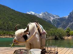 -玉龙雪山蓝月谷