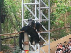 -清迈夜间动物园