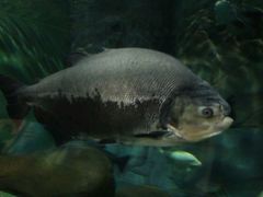 -上海海洋水族馆-停车场
