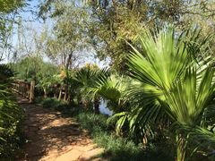 -五甲塘生态湿地公园