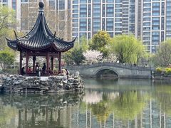 -和平公园