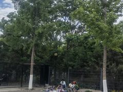 -永定河休闲森林公园