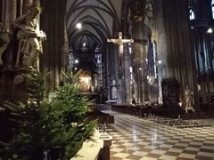 -斯蒂芬主教座堂(Stephansdom)