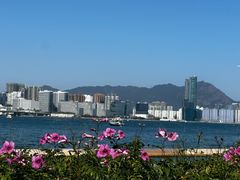 -天星小轮码头