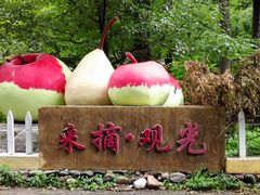 -白河湾生态旅游一条川