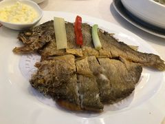 -骏莱海鲜鱼港(五角场店)