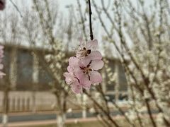 -天津梅江会展中心