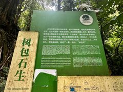 -莫里热带雨林景区