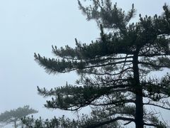 -萍乡武功山风景名胜区