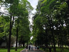 -海珠湖公园