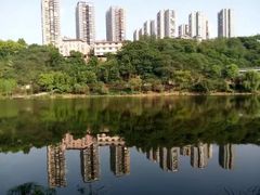 -重庆彩云湖湿地公园