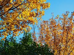 -千佛山风景名胜区