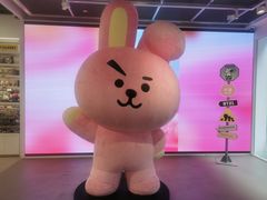 -line friends(明洞旗舰店)